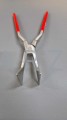 450645633_811999564372185_2823161959294789849_n.jpg